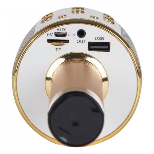 Беспроводной Микрофон вокальный беспроводной WS-858 (USB слот)