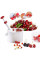 Машинка для удаления косточек из вишни черешни маслин и оливок Cherry Pitter