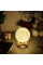 Ночник 3D Луна Светильник 5 режимов 5 цветов 3D Moon Touch USB аккумуляторная