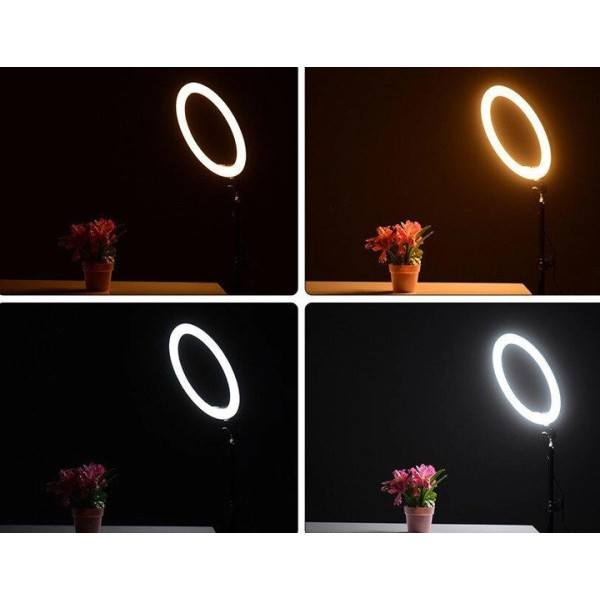 Кольцевая LED лампа Ring Light 33 см + штатив и крепление для телефона (LC-330)
