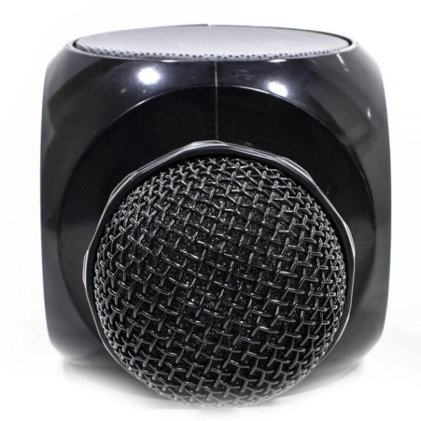 Беспроводной микрофон для караоке с динамиком WSTER WS-1816 Bluetooth USB AUX FM