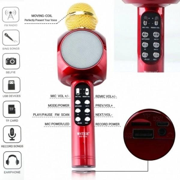Беспроводной микрофон для караоке с динамиком WSTER WS-1816 Bluetooth USB AUX FM