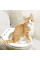Набор для приучения котов к туалету CitiKitty Cat Toilet Training Kit накладка на унитаз