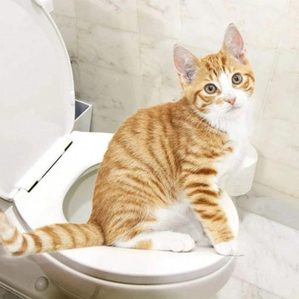 Набор для приучения котов к туалету CitiKitty Cat Toilet Training Kit накладка на унитаз