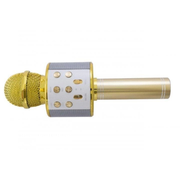 Беспроводной микрофон караоке с колонкой Bluetooth USB Wster WS-858