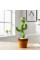 Танцующий говорящий кактус 120 песен с подсветкой Dancing Cactus 31 см Зеленый