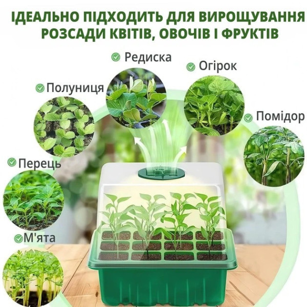 Мини теплица для растений лоток 12 ячеек с вентиляцией