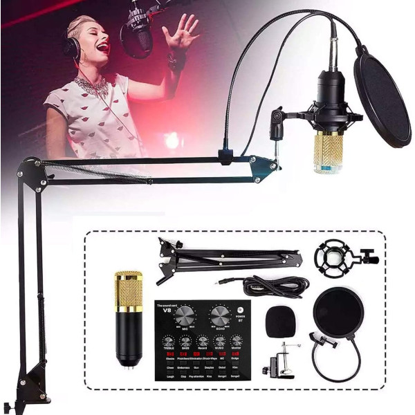 Студийный микрофон Music M-800 конденсаторный с поп фильтром стойкой и защитой от ветра