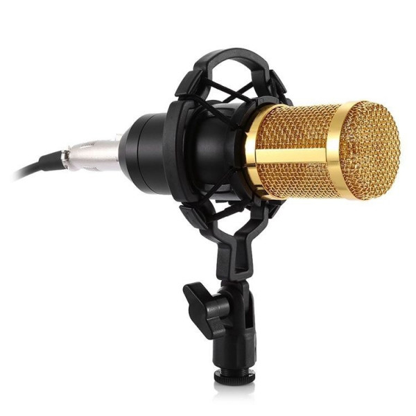 Студийный микрофон Music M-800 конденсаторный с поп фильтром стойкой и защитой от ветра