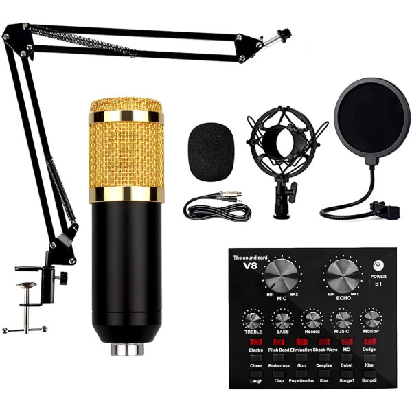 Студийный микрофон Music M-800 конденсаторный с поп фильтром стойкой и защитой от ветра